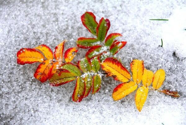 Небо, хмурое печальное...