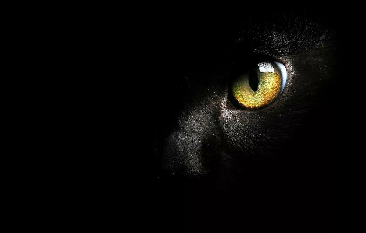 Нечто важное