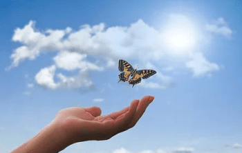 Состраданье