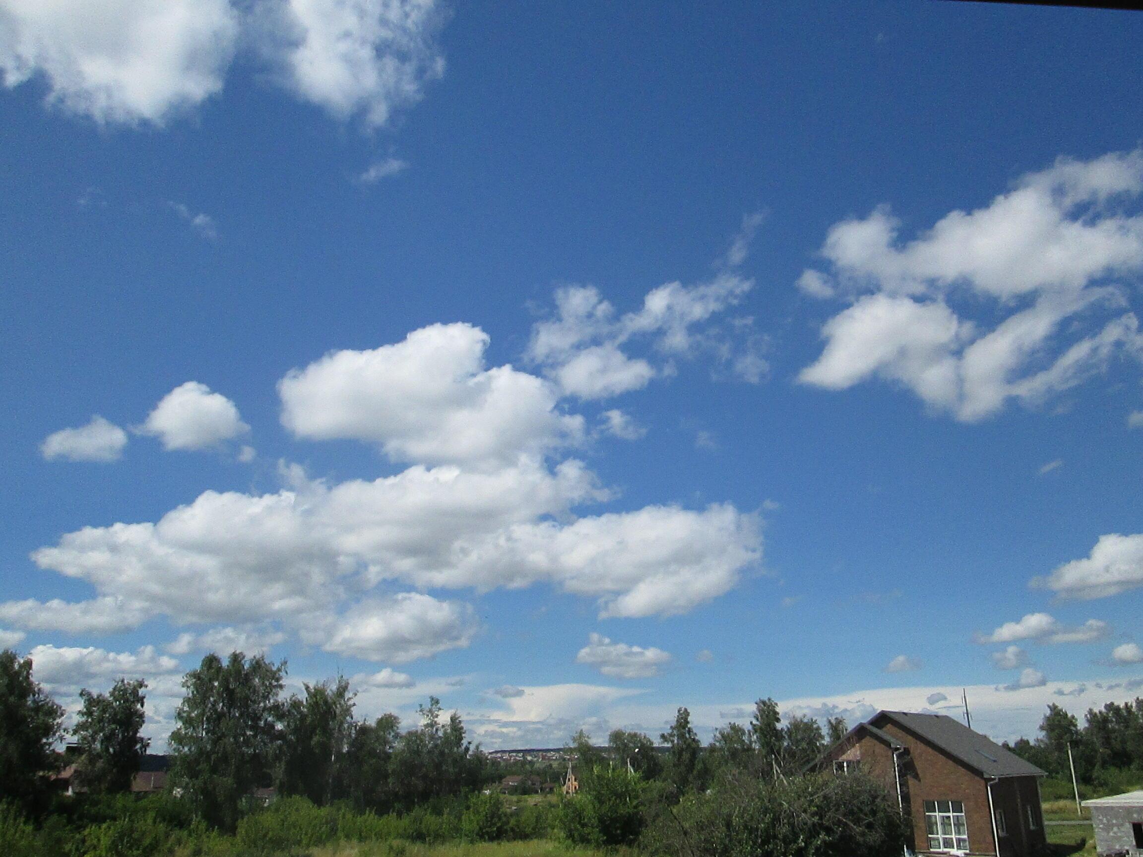 НЕ СТРЕЛЯЙТЕ ДЕТИ ЛЕБЕДЕЙ