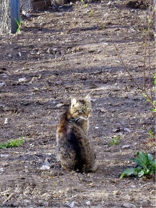 Серия... Диалоги с... Небом.... Память.