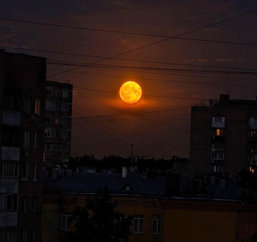 "Луна всё ярче за окном..." (04.07.2023)