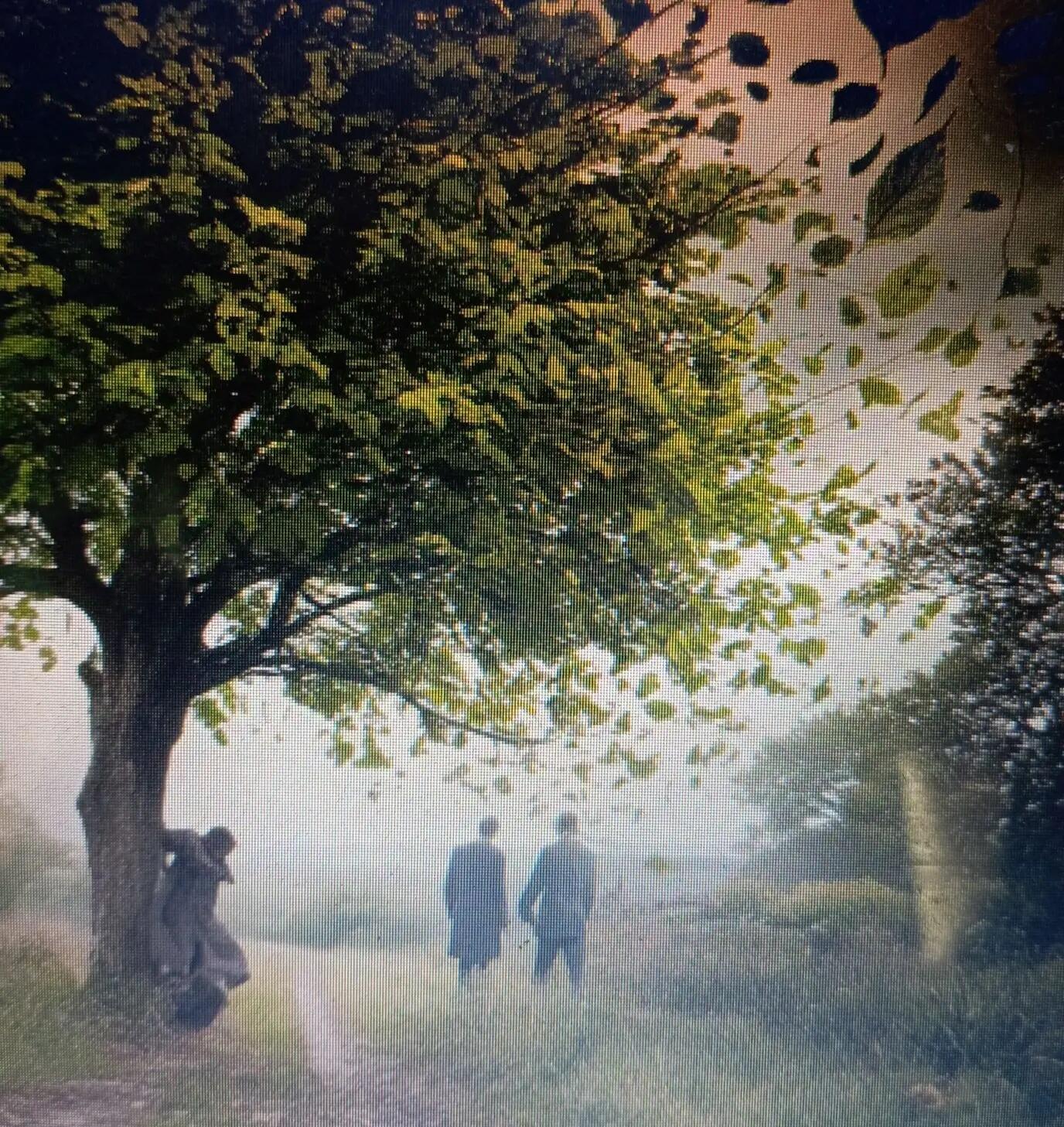 Бесновался ветер