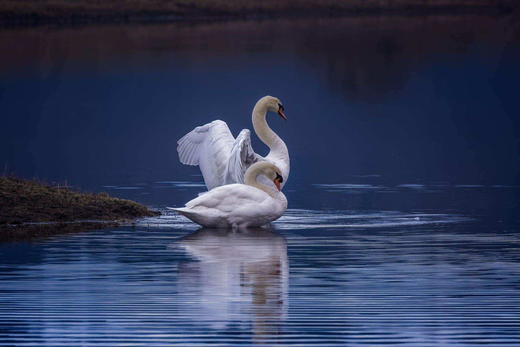 Сегодня мне осень в глаза заглянула. / верлибр /