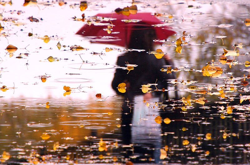 Окунув в мир охровых аллей