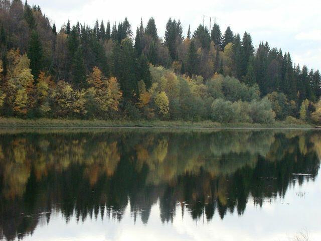 Я выбираю снег