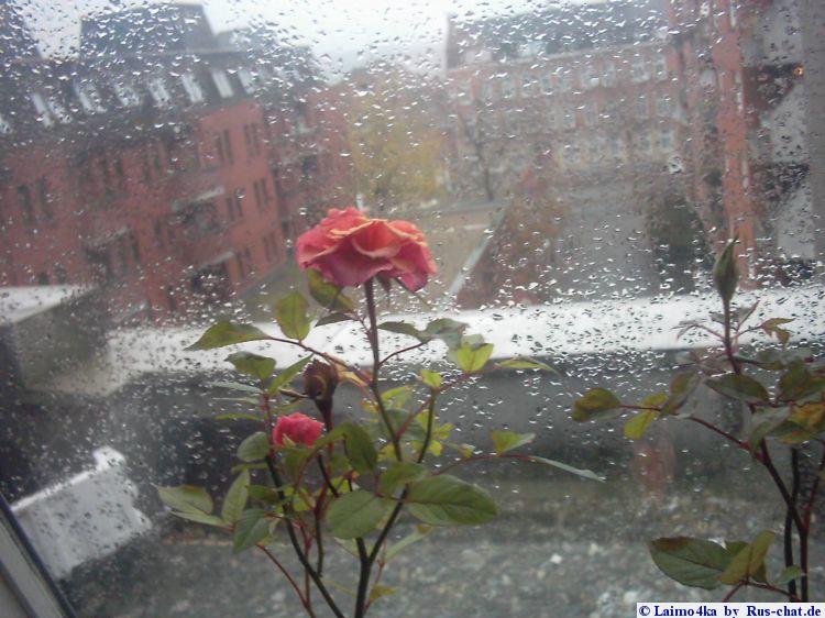 Это просто осень...