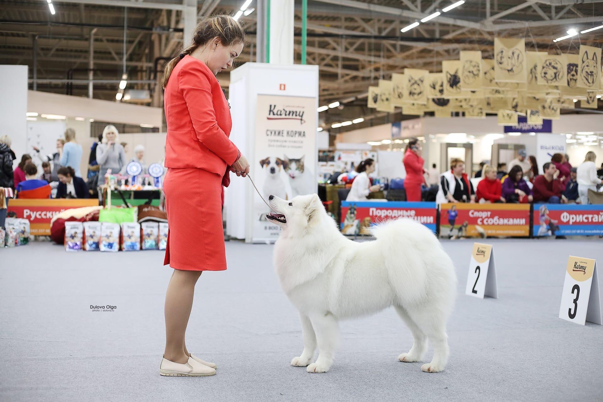 ЛУЧШИЙ ХЕНДЛЕР