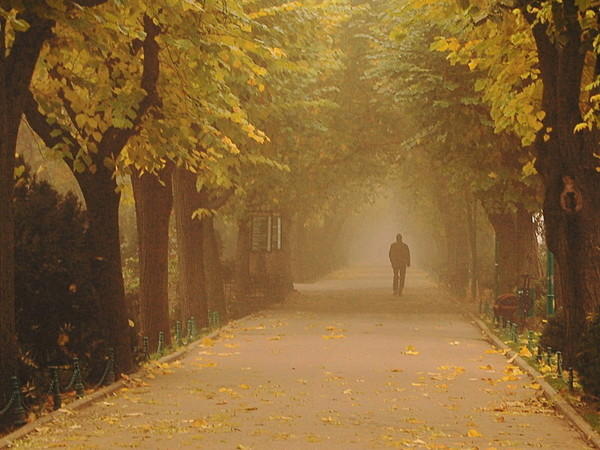 "От осени до осени..." (30.12.2017)