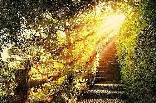 Утро, ночь и человек