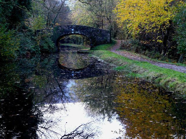 Мир иллюзий