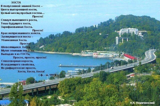 В полусонной зимней Хосте