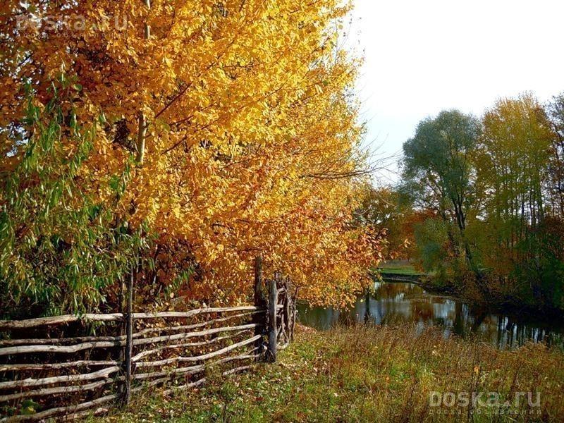 Осень поэта