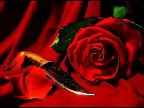 Любовь и ненависть