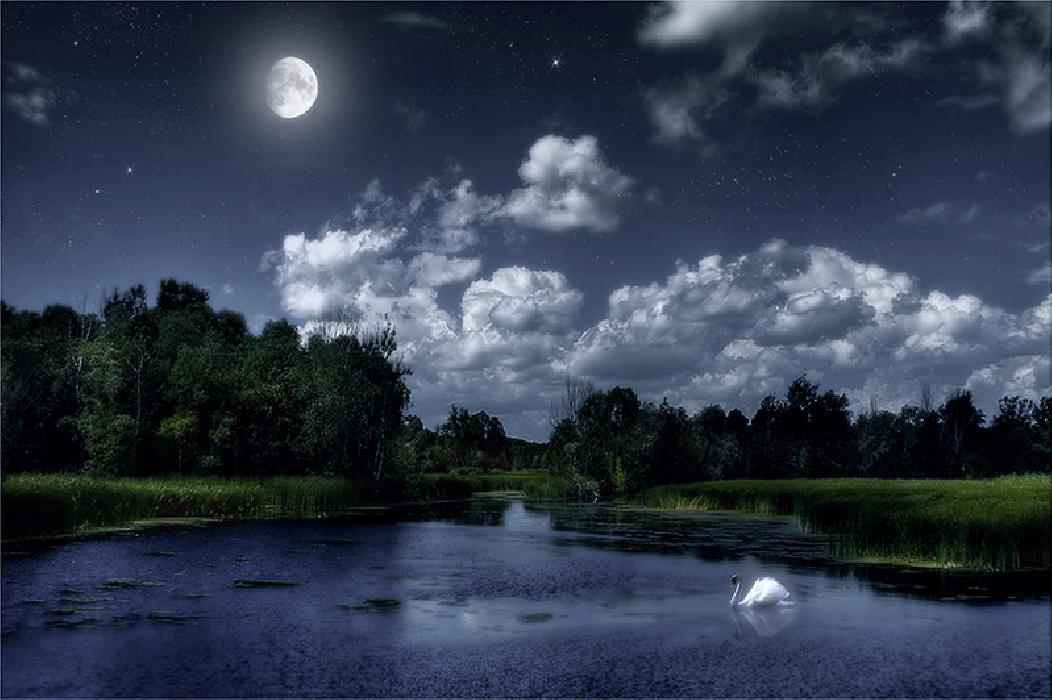 Печаль не вовремя застала.