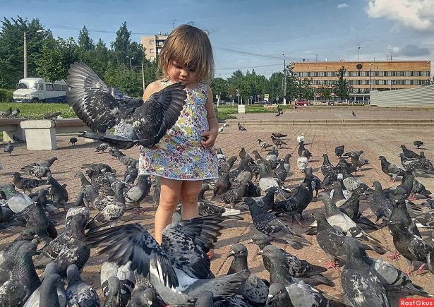 Веер - каждое крыло