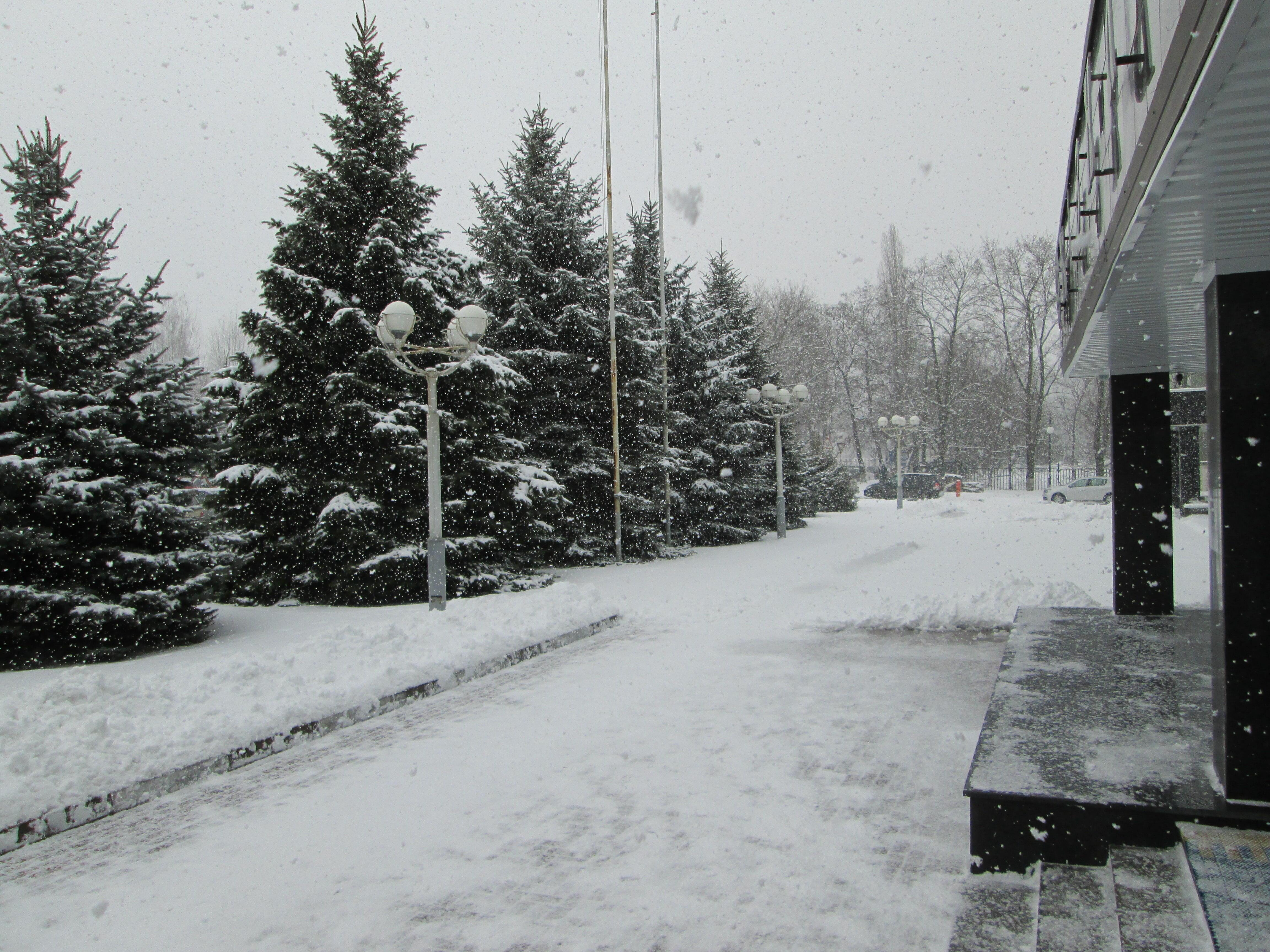 ЛАПТИ СНЕГА