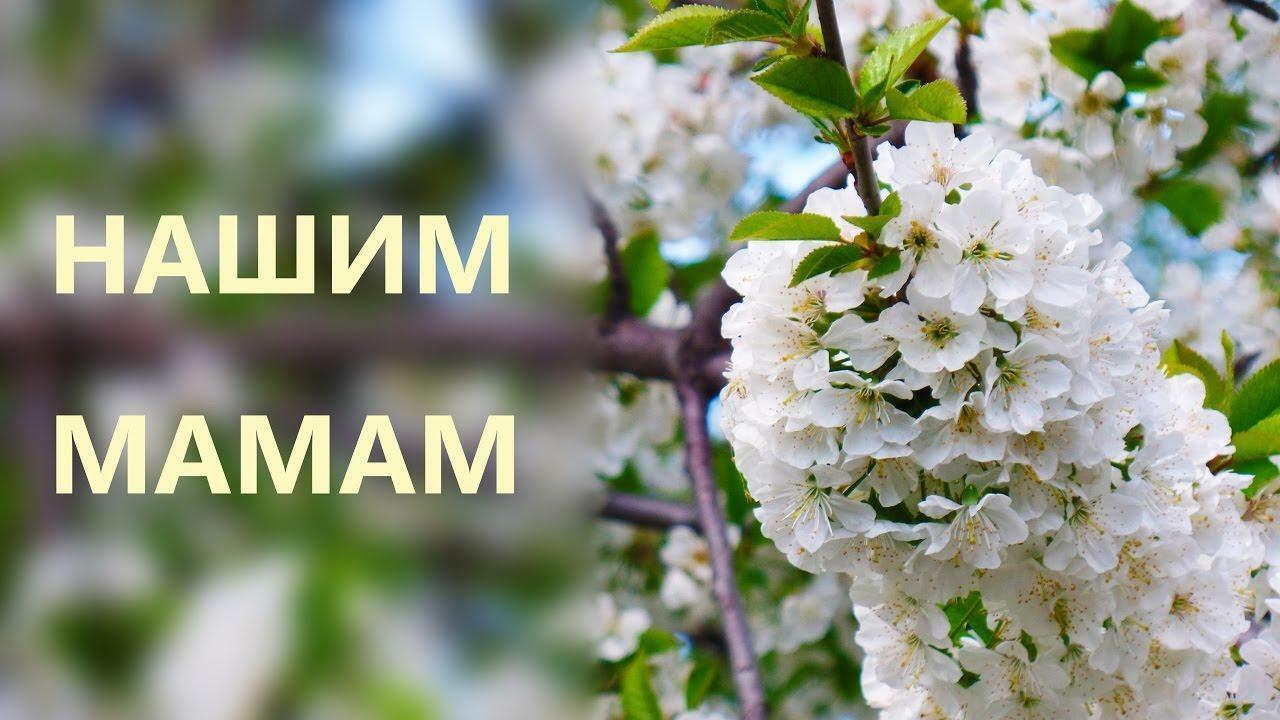 ПРОЩЕНИЕ У МАМЫ ПОПРОСИТЕ...