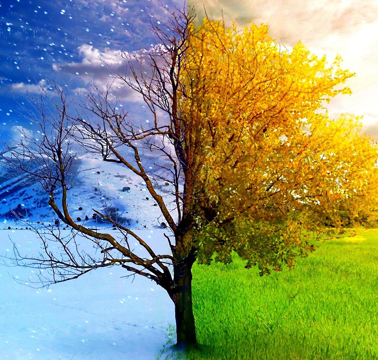 Розкажи-но мені про...