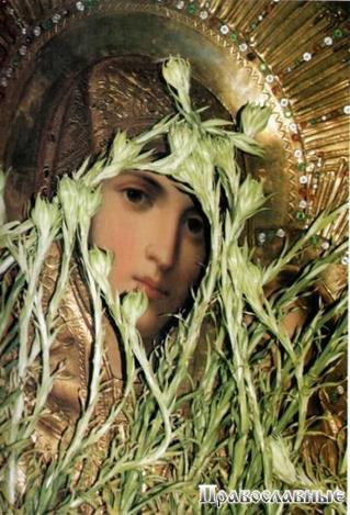 Город моих трущоб.