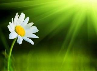 Мгновенье, где ты?