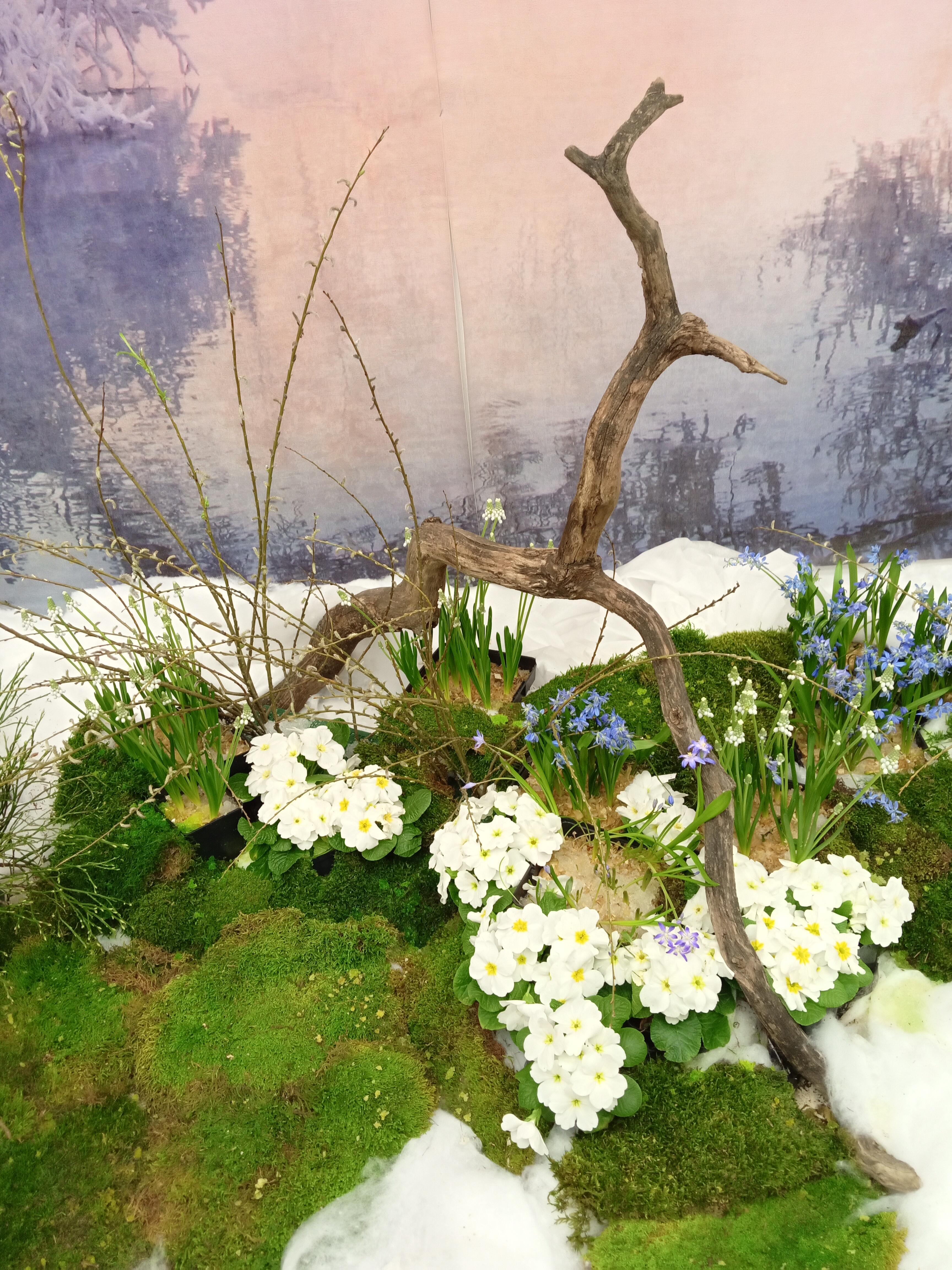 Скоро весна!