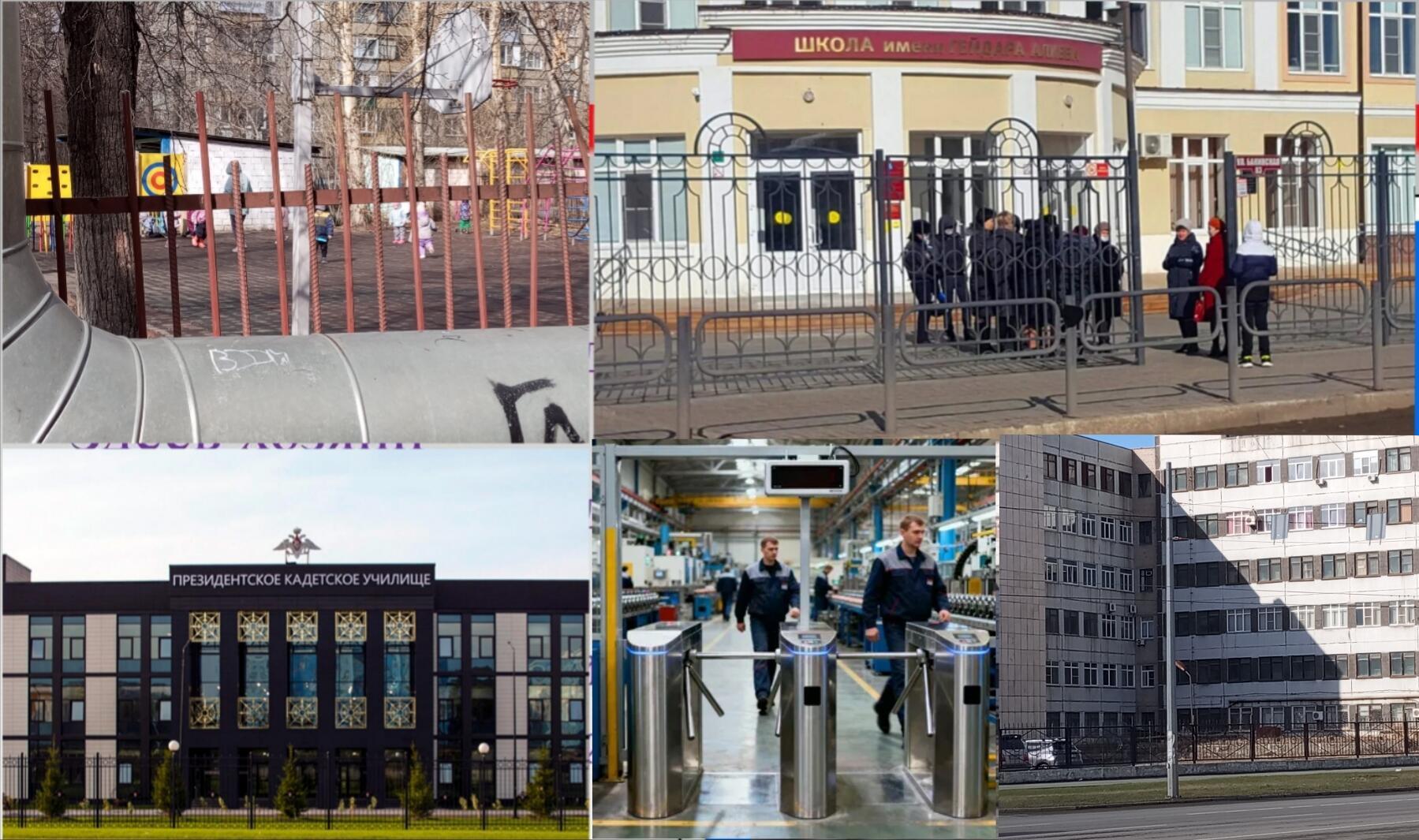 Жестокая реальность