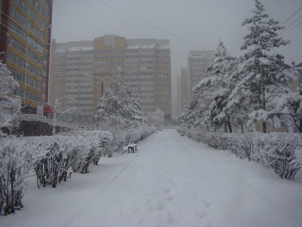 ​---Забайкальская зима---