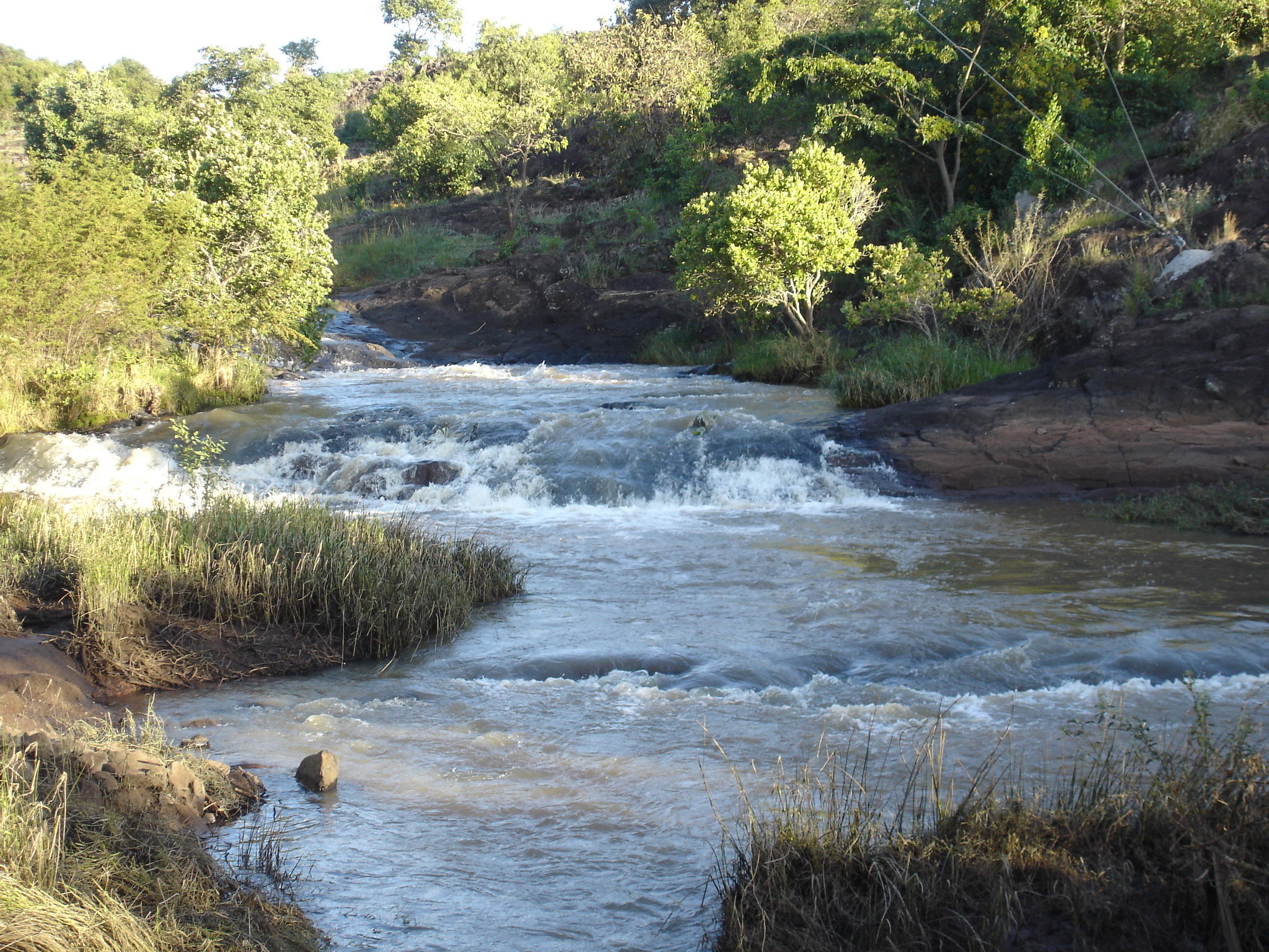 И если тебе рады не везде