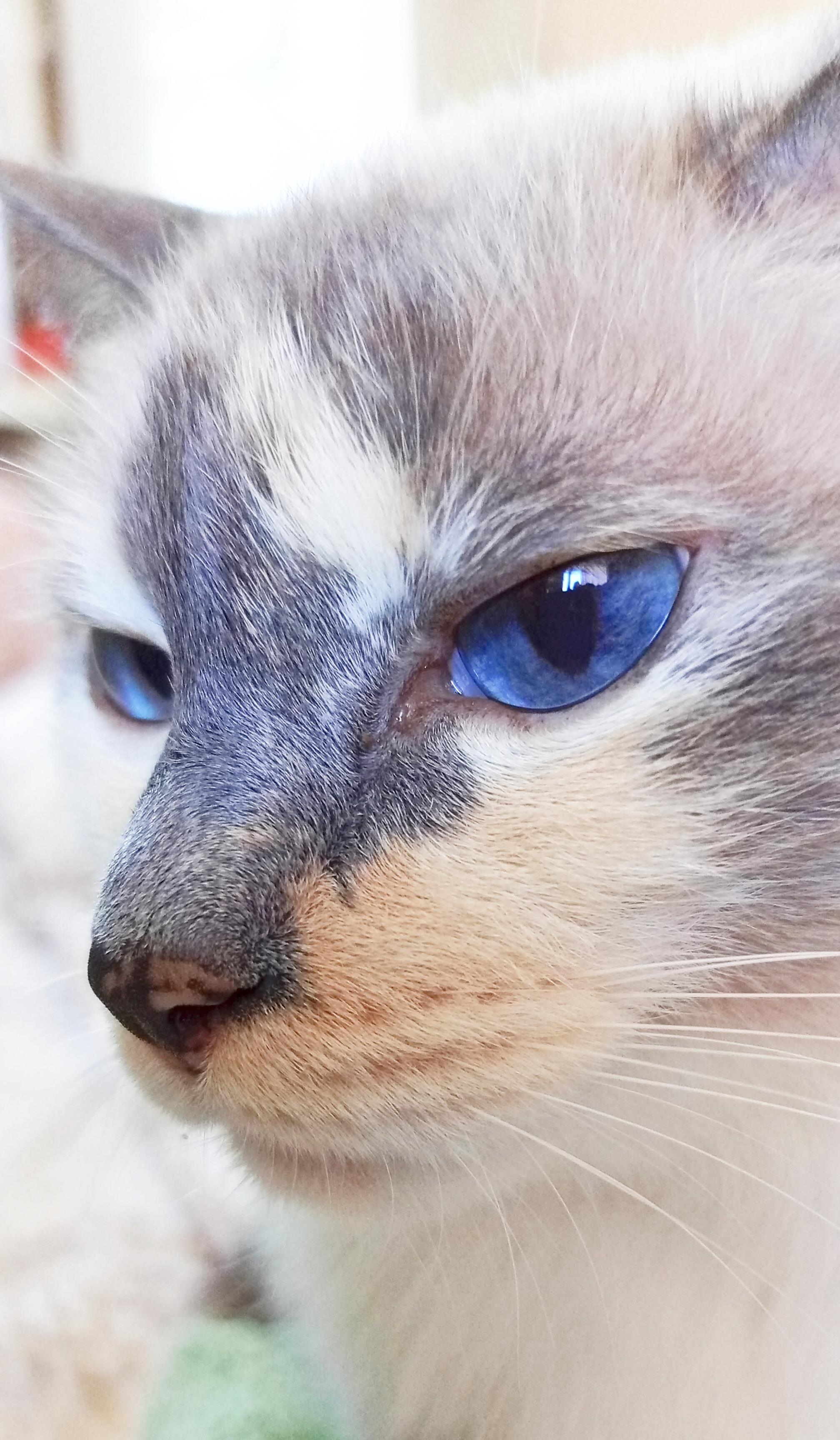 Жемчужные бусы 