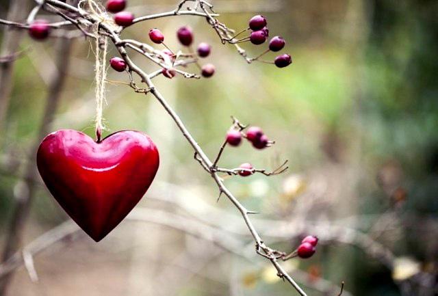 Я ЕГО БЫ ЛЮБИЛА...