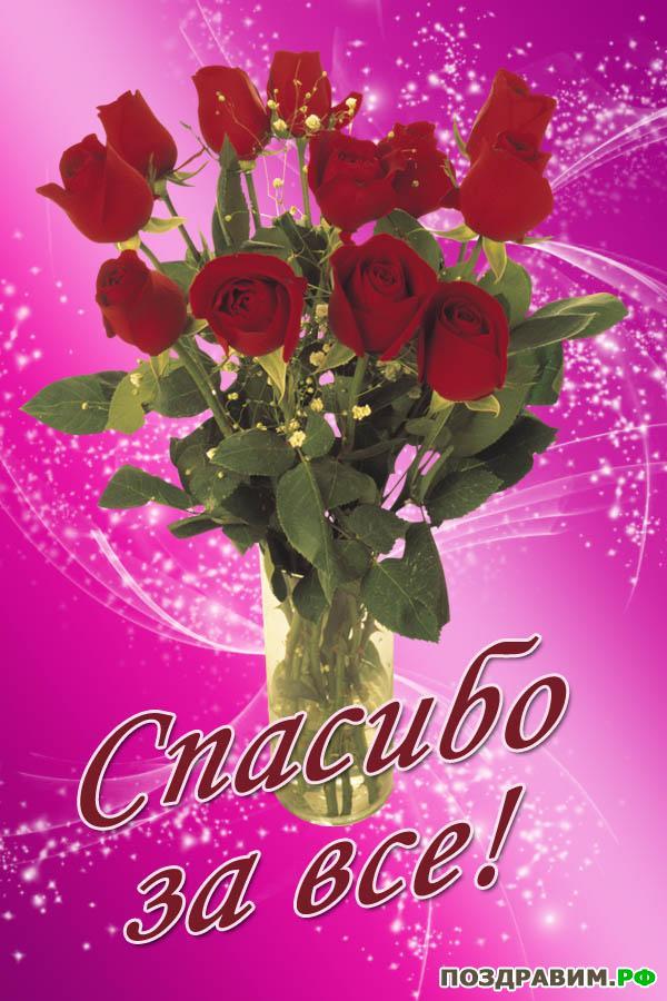 Спасибо всем