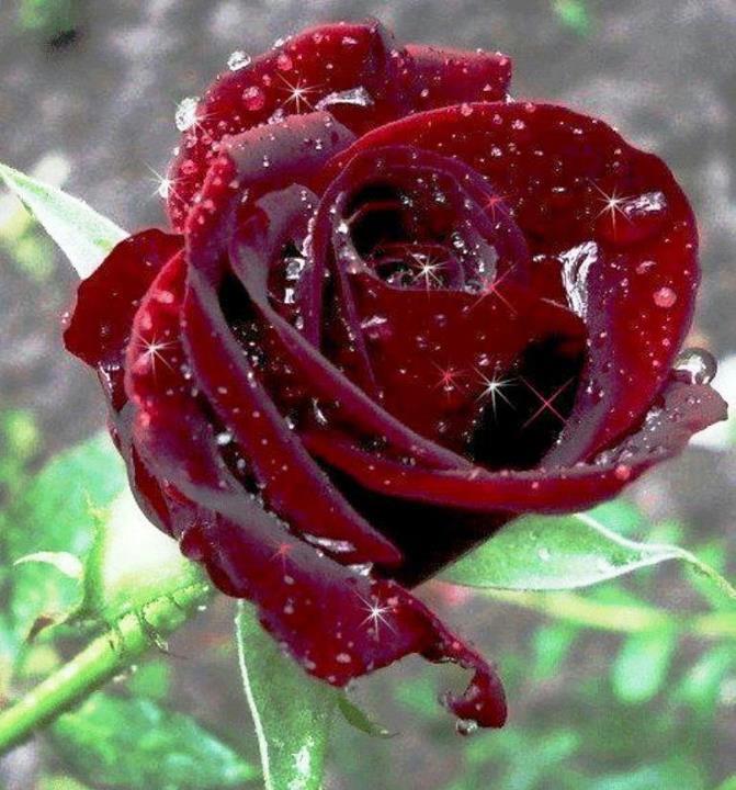 Не заглушайте музыку души