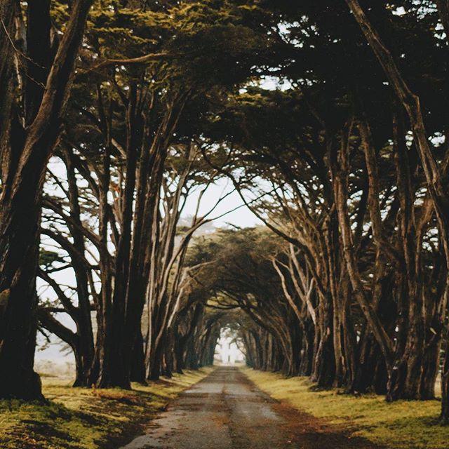 Из чего мы сделаны?