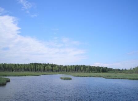 Летний день