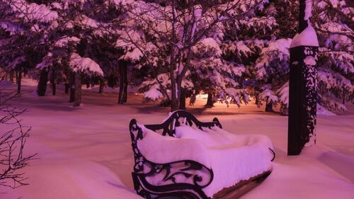 В зимнем парке