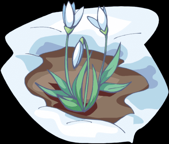 ВСЁ ПРОПИТАНО ВЕСНОЙ