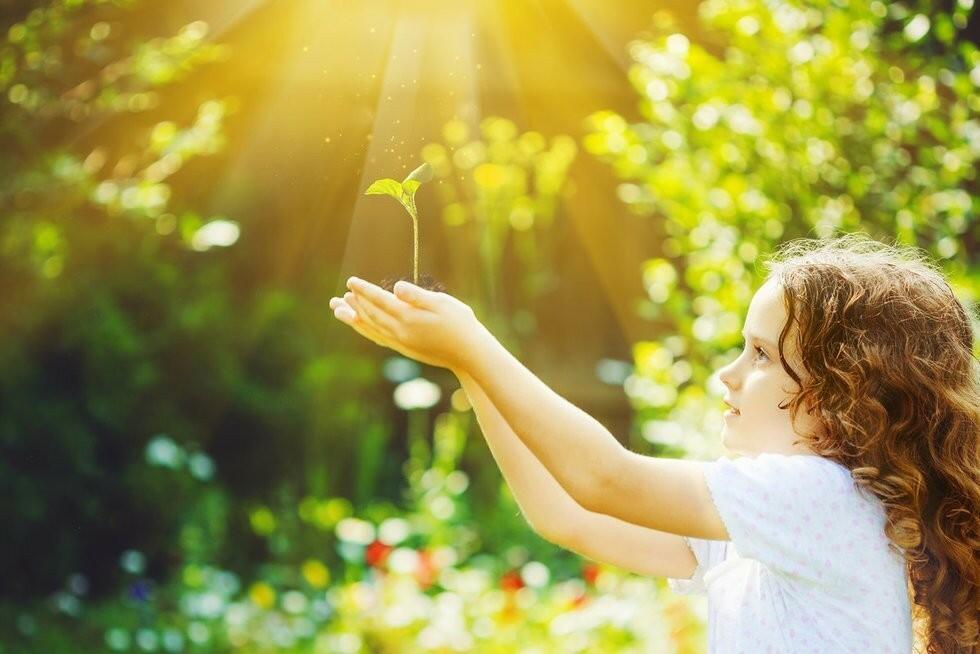 Лучик солнышка