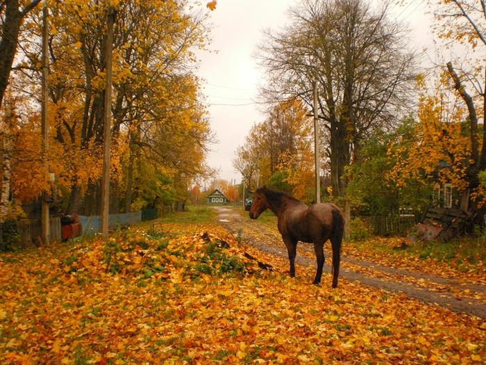 ЛИСТЬЯ С ТОПОЛЕЙ