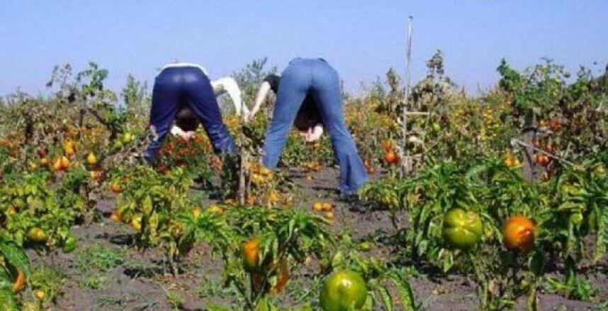Из Сибири с.. всё тем же
