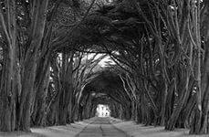 Дорога Судьбы