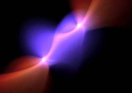 Райская птица