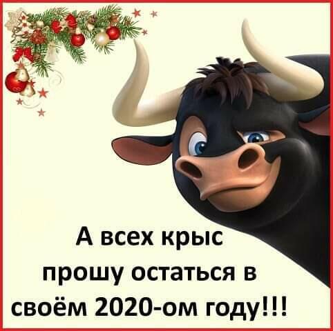 Уходит год крысы