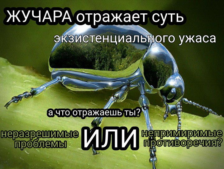 ЖУКИ И ЧЕЛОВЕКИ