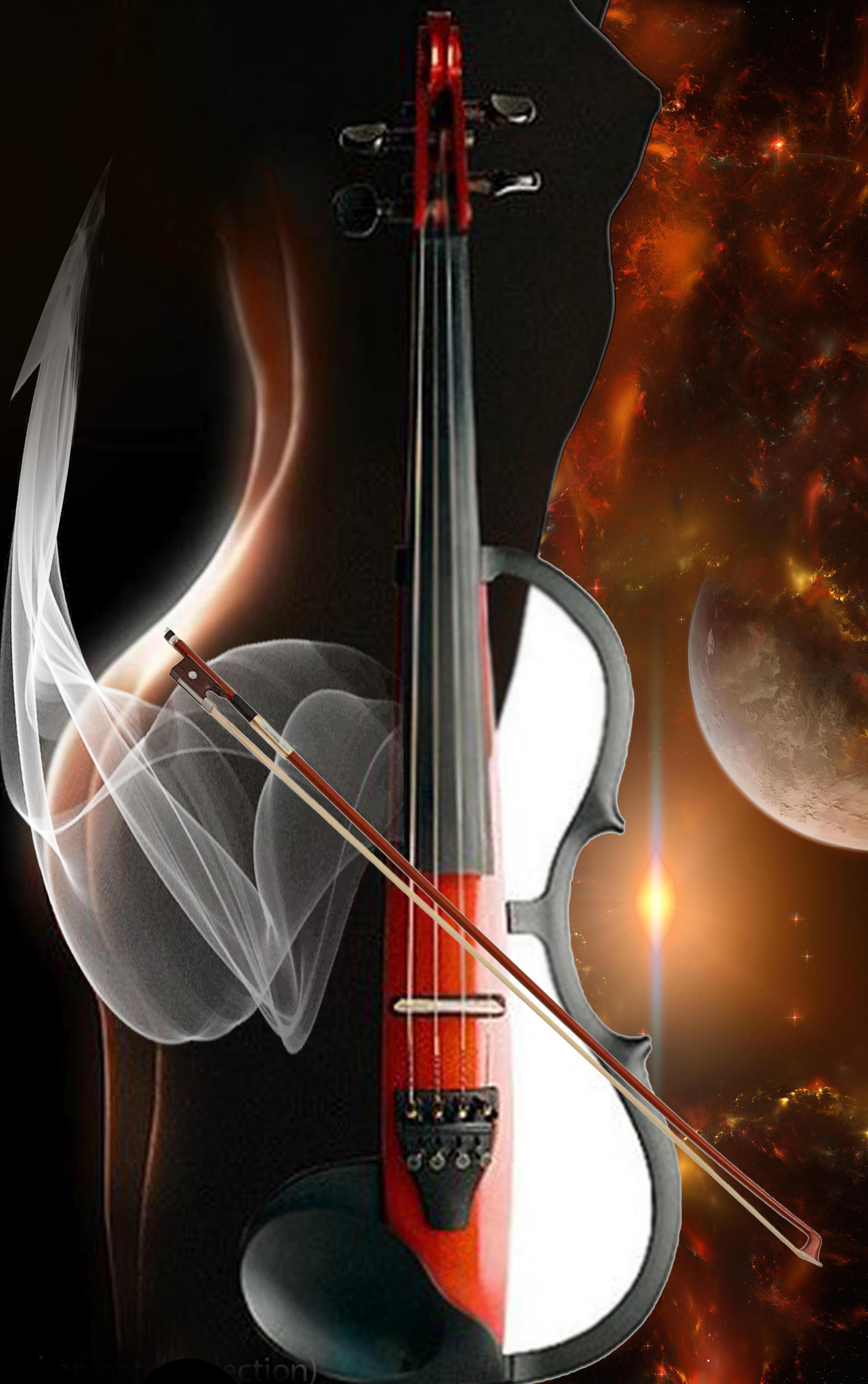 «Силуэт красивой скрипки»