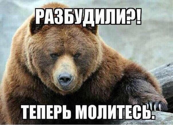 Новый Порядок