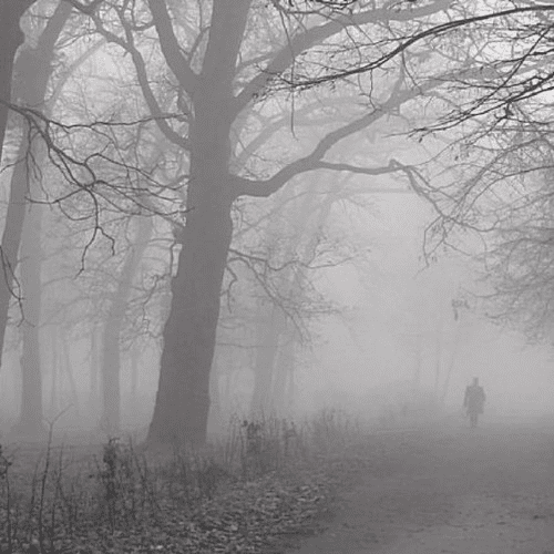 Осенний этюд