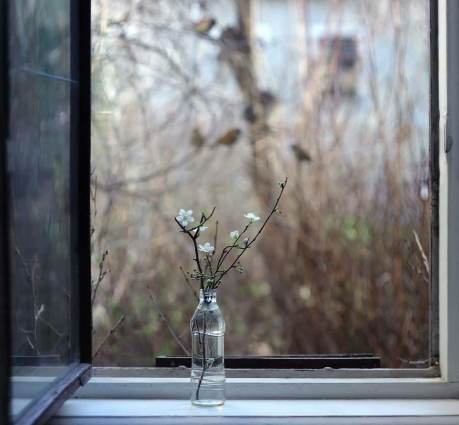 "Радуйся тому,что ты живёшь..." (13.06.2020)