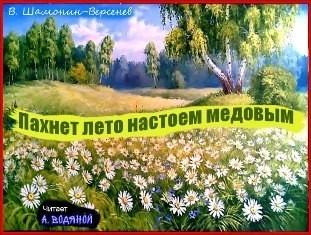 Пахнет лето настоем медовым
