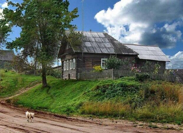 Деревенское детство моё